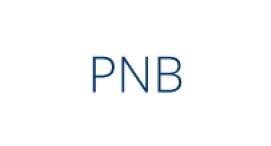 PNB-Alturas Visa Card